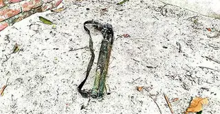 ফুলবাড়িয়ায় পুলিশের লুট হওয়া শটগান উদ্ধার